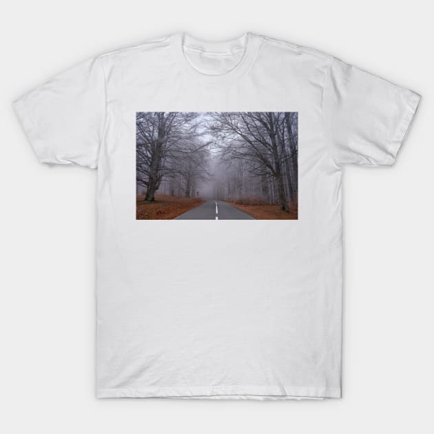 Road through forest, early winter T-Shirt by naturalis